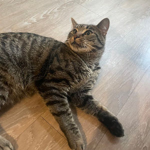 Meet your Posher, Sam